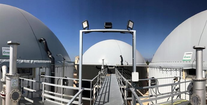 Archivo - Planta en el municipio de La Galera (Tarragona)