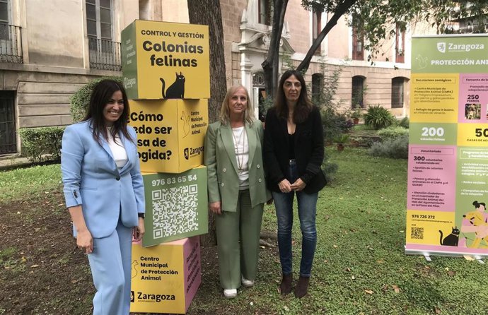 La consejera municipal de Movilidad y Medioambiente del Ayuntamiento de Zaragoza, Tatiana Gaudes, en la Oficina Municipal de Medioambiente
