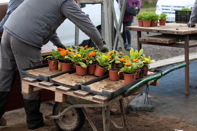 Archivo - Vivero de la Diputación de Cáceres