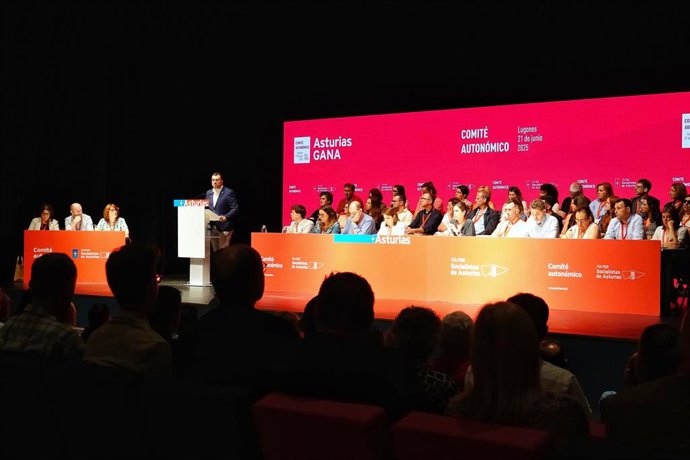 Archivo - Comité Autonómico de la FSA-PSOE