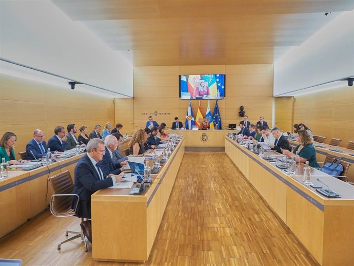 Pleno del Cabildo de Tenerife