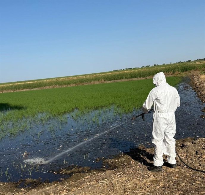 Un operario aplica un tratamiento contra los mosquitos en un cultivo.