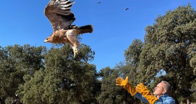 Es Andalucía - Córdoba