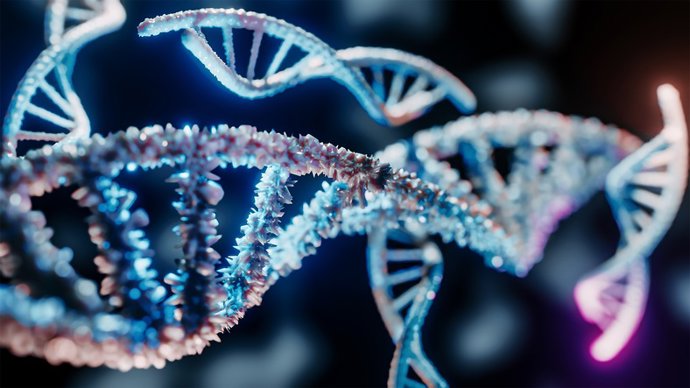 Archivo - ADN, genes.