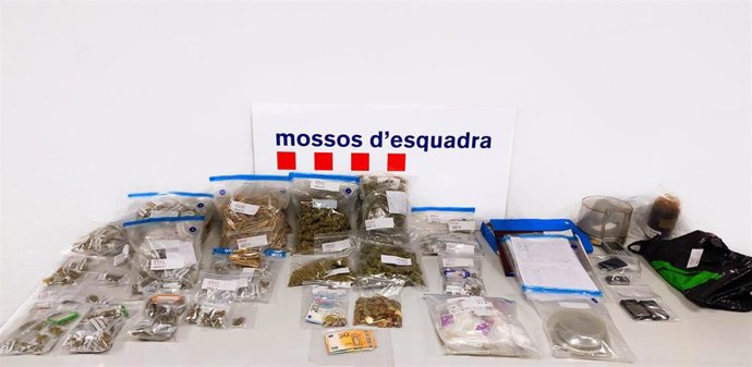 Material incautado en un registro en una asociación cannábica en Cervera