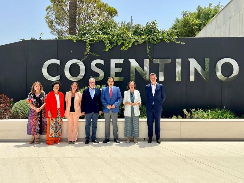 La Junta reconoce la labor de la Fundación Cosentino, entre otras.