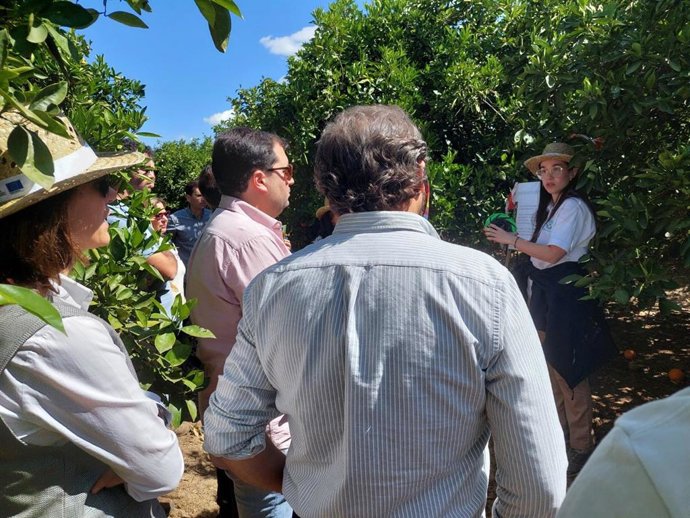 Jornada organizada dentro de 'DemoFarm Andalucía'.