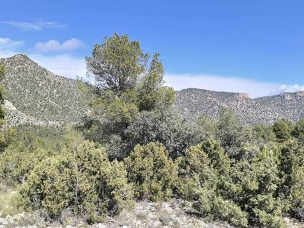 Monte 'El Bebedor' en el municipio de Moratalla.