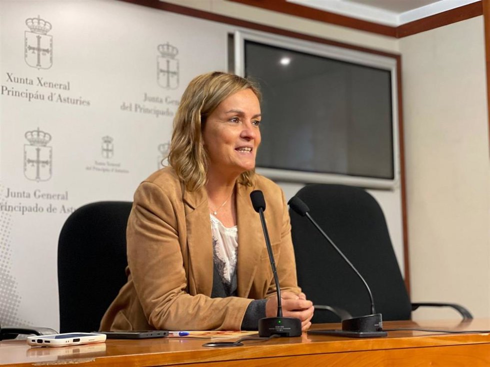 La diputada del Grupo Mixto Covadonga Tomé en la Junta General.