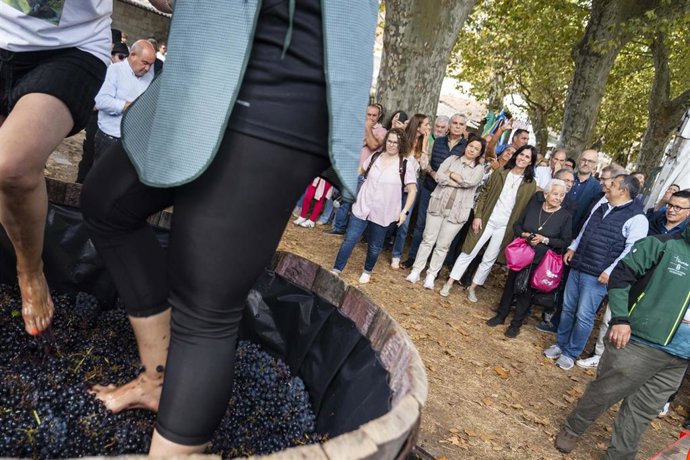 La secretaria xeral del PPdeG, Paula Prado