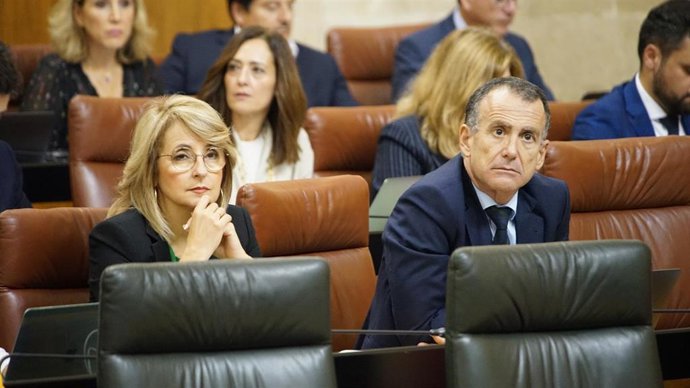 El parlamentario andaluz del Partido Popular de Almería, Pablo Venzal,  en una imagen de archivo