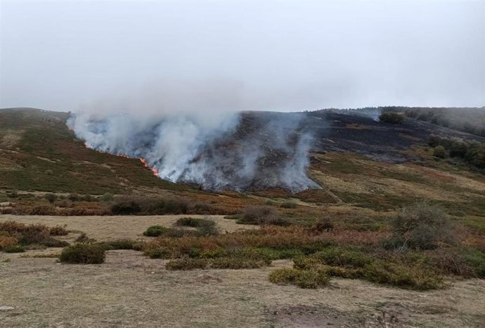 Sofocado un incendio forestal en Valdeprado del Río