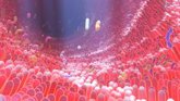 Foto: Cisteína: el aminoácido que podría rejuvenecer el intestino y ayudar tras la quimioterapia