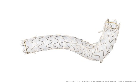 Comunicados Internacional