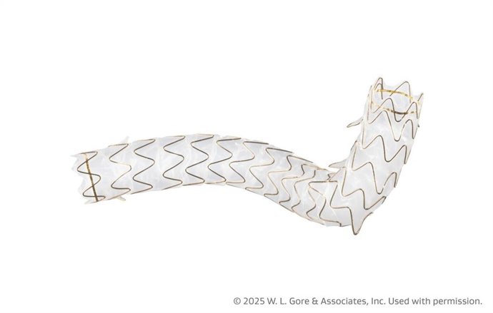 GORE VIABIL Biliary Endoprosthesis