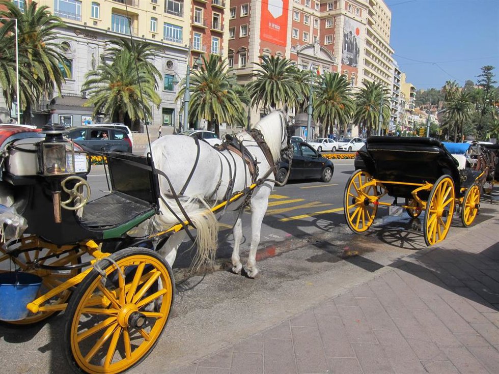 Archivo - Coches de caballos en una imagen de archivo