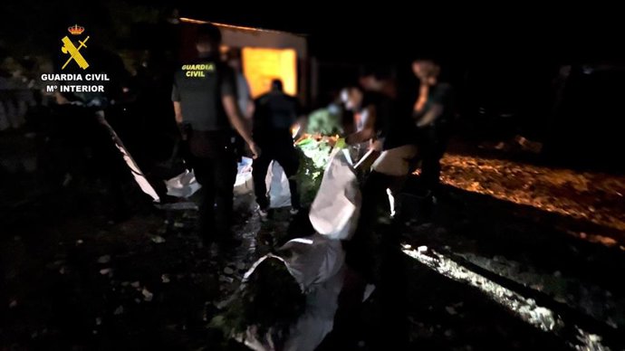 Operación de desmantelamiento de una plantación de marihuana en Lora del Río (Sevilla).