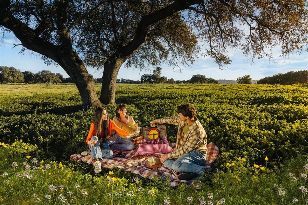 Picnic en la dehesa