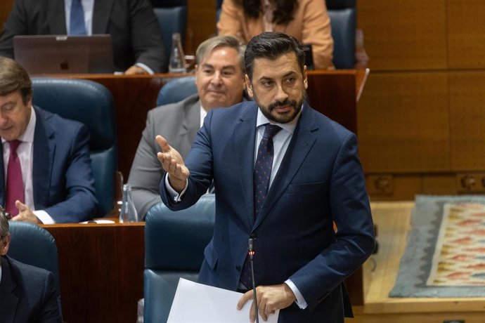 El portavoz del PP en la Asamblea, Carlos Díaz-Pache, interviene durante un pleno en la Asamblea de Madrid.