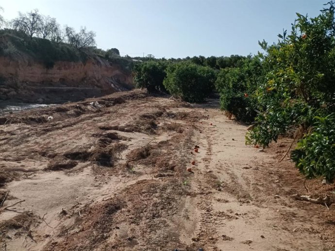 Camino afectado por la dana en Torrent