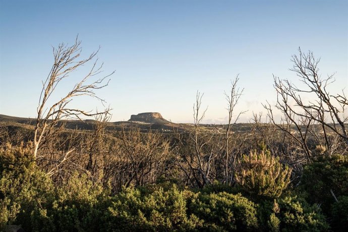 Archivo - Renaudan la realización de eventos en senderos y pistas forestales de la Gomera tras la ola de calor en Canarias