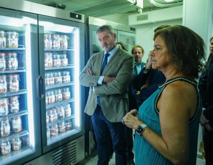 Vídeo de la noticia