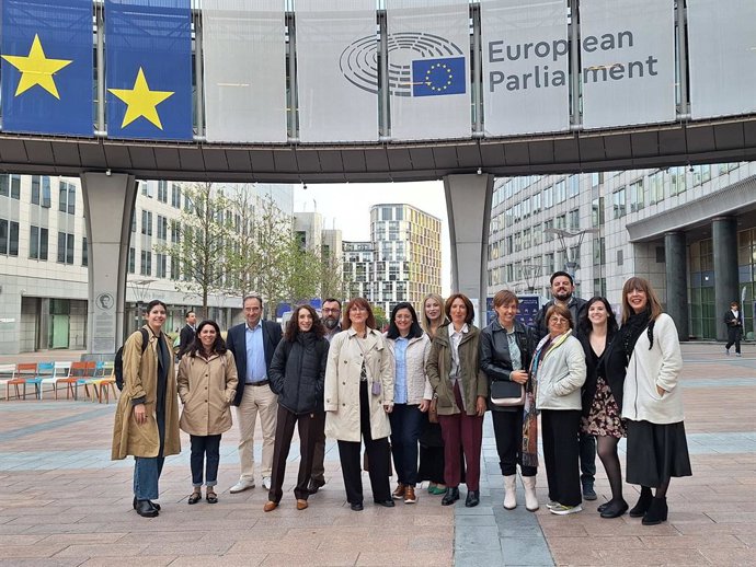 Representantes de Daño Cerebral Estatal en su visita al Parlamento Europeo.
