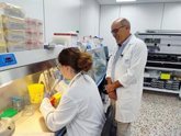Foto: Identifican una causa cardiaca hereditaria en el 9,5% de muertes súbitas hasta los 35 años