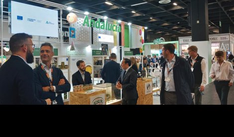 Es Andalucía - Sevilla