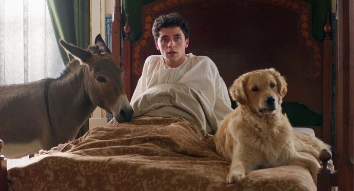 ÛA Árvore do conhecimento', que podrá verse en el 63 Festival Internacional de Cine de Gijón, en la sección FICX Premiere.