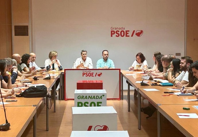 El secretario general del PSOE de Granada, Pedro Fernández, en la ejecutiva de su formación.