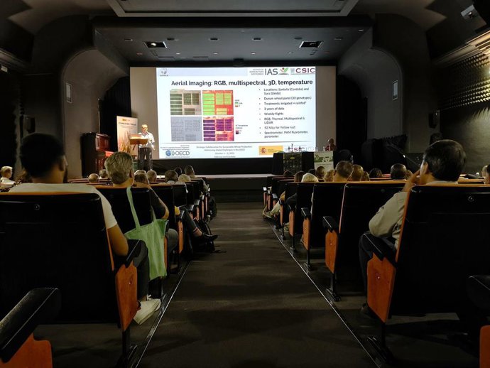 Investigadores de la OCDE se reúnen en España para abordar los desafíos globales de la producción sostenible de trigo.