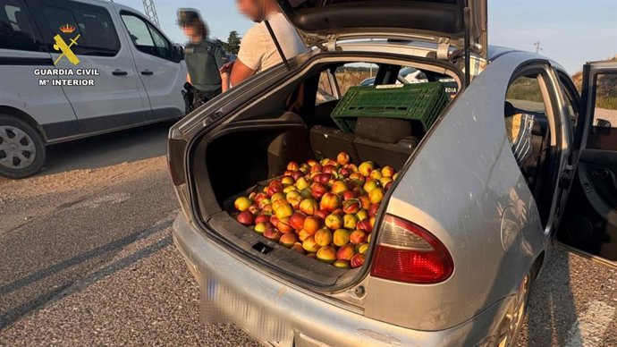 La Guardia Civil investiga a un vecino de Lodosa por el hurto de 140 kilos de fruta en La Rioja