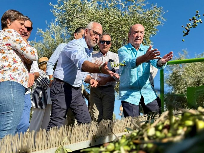 Celebración del segundo día de cosecha de Oleícola Jaén.