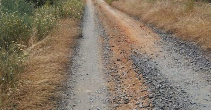 Archivo - Camino (archivo)