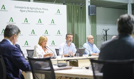 Es Andalucía - Sevilla