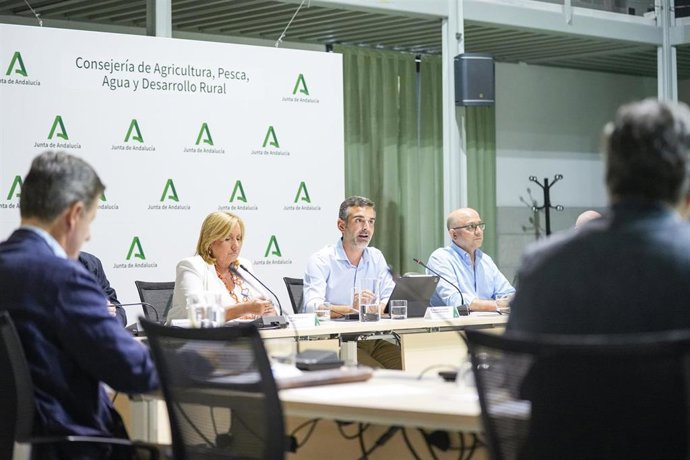 Vídeo de la noticia