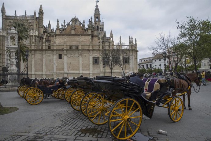 Archivo - Coches de caballos en las paradas habilitadas de la Plaza del Triunfo, en foto de archivo.