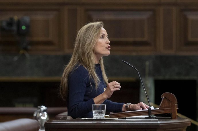 Archivo - La diputada del PP Carmen Navarro.