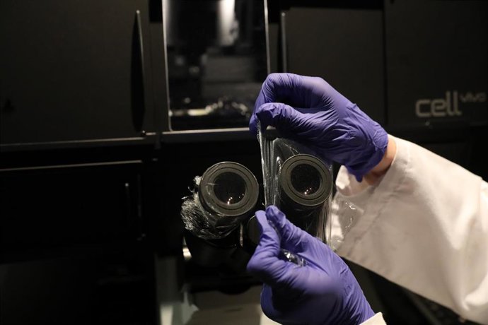 Archivo - Imagen de archivo de un microscopio.