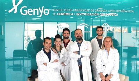 Investigación