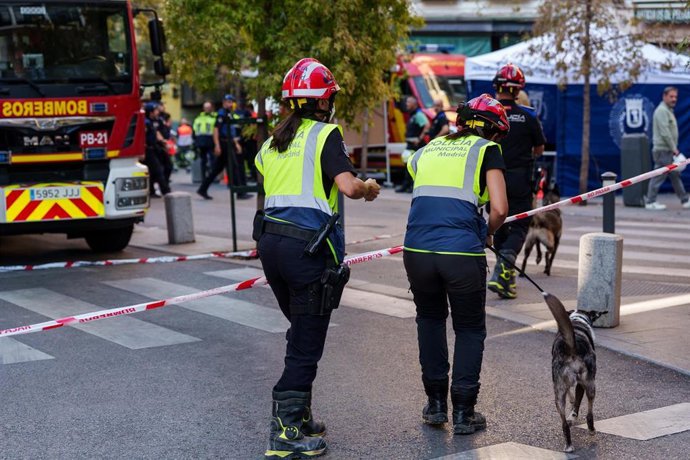 Un perro entrenado llega a las inmediaciones dónde se ha derrumbado un edificio en obras para buscar desaparecidos, en la zona de Ópera, a 7 de octubre de 2025, en Madrid (España).