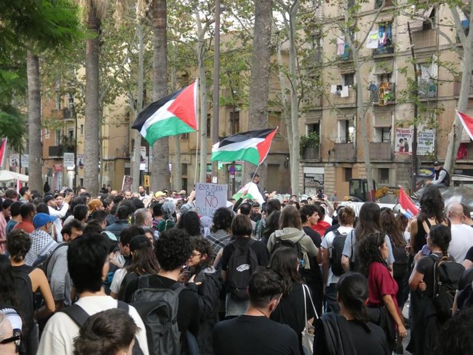 Manifestació a favor de Palestina