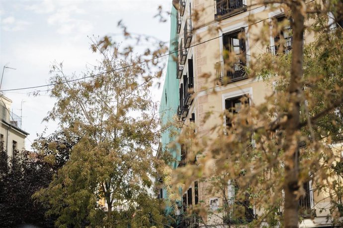 Estado del edificio derrumbado en la calle Hilares, a 8 de octubre de 2025, en Madrid (España). 