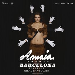 Cartel del concierto