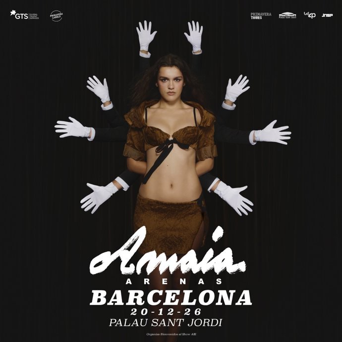 Cartell del concert