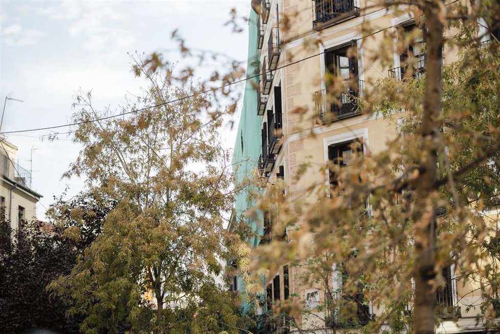 Estado del edificio derrumbado en la calle Hilares, a 8 de octubre de 2025, en Madrid (España).