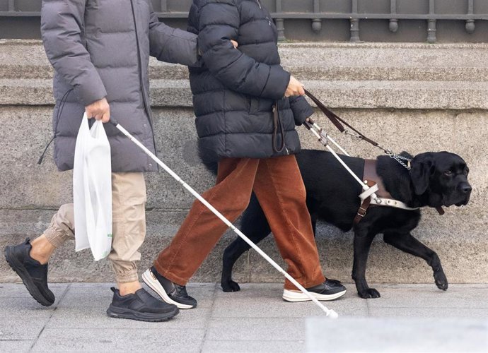 Archivo - Dos personas con discapacidad visual caminan por la calle, a 28 de enero de 2025, en Madrid (España).