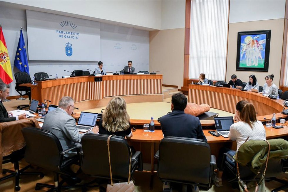 El director xeral de Pesca, Acuicultura e Innovación Tecnolóxica, Cándido Rial, comparece en la Comisión 8 de Pesca e Marisqueo.