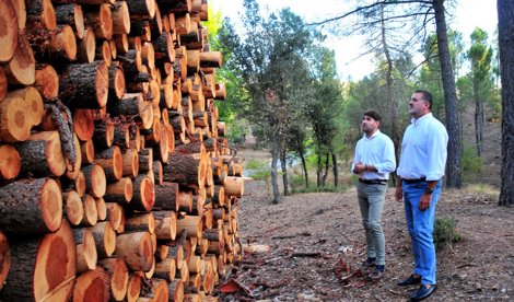 Es Andalucía - Granada